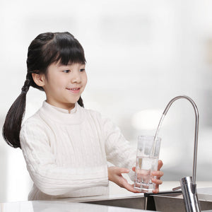 YOUPIN CHANITEX Smart Water Purifier Mijia Home Water Filters Clean Health RO Purification Reverse Osmosis Technology